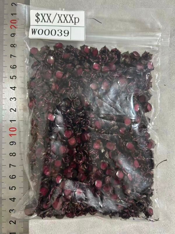 W00039 soft_flower_big